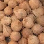 Sell Semi Husked Coconut