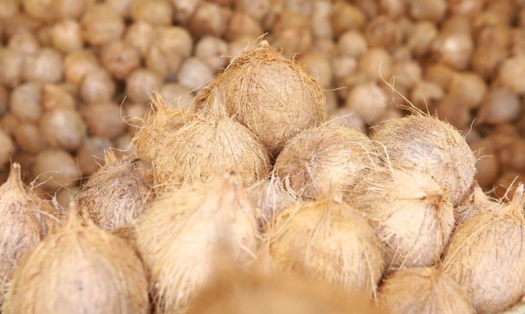 SEMI HUSKED COCONUT EXPORT TO CHINA