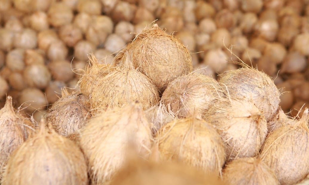 BUY SEMIHUSKED COCONUT WHOLESALE