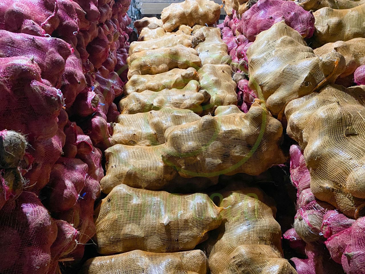 SEMI HUSKED COCONUT FOB PRICE
