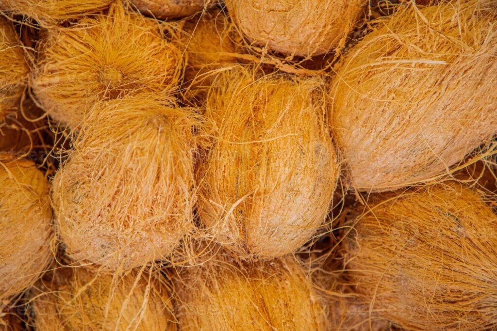 SEMI HUSKED COCONUT SUPPLIER CONTACT