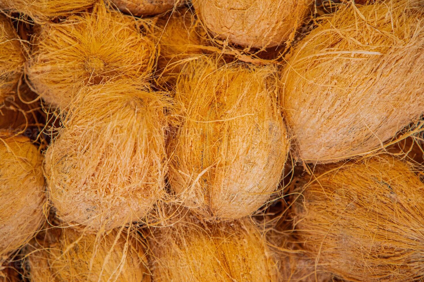 BUY SEMIHUSKED COCONUT WHOLESALE