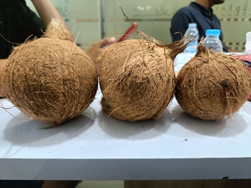 CHEAP SEMI HUSKED COCONUT WHOLESALE